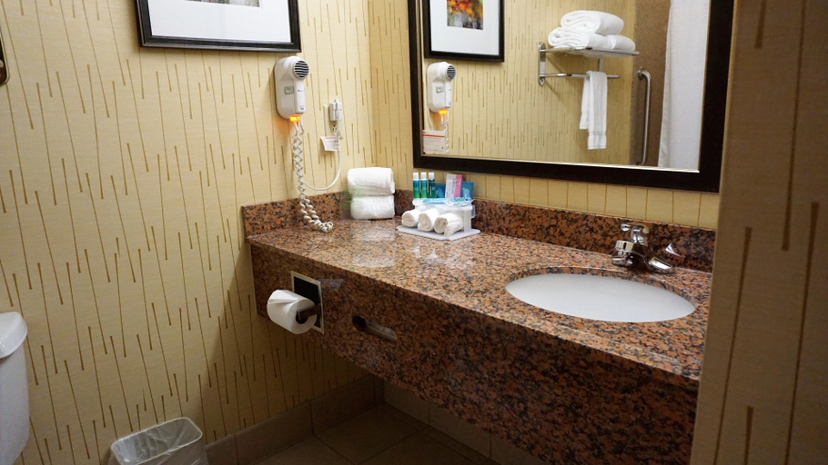Bathroom 4, Fairfield by Marriott Inn & Suites New Milford, Susquehanna