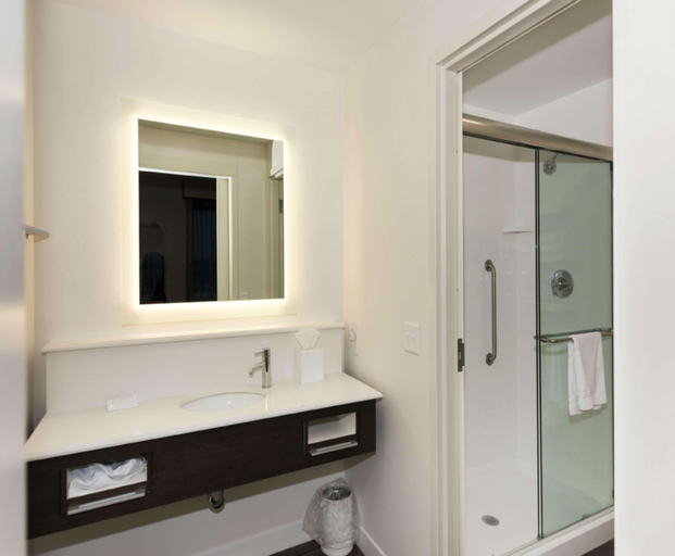Bathroom 4, Hampton Inn & Suites Minneapolis University Area, Hennepin