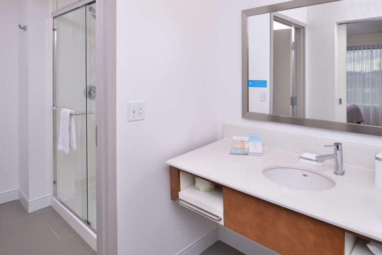Bathroom 4, Hampton Inn & Suites Ame, Story
