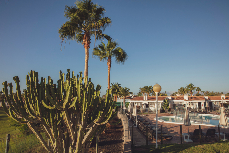 Exterior & Views 2, Vista Verde - Adults Only, Las Palmas