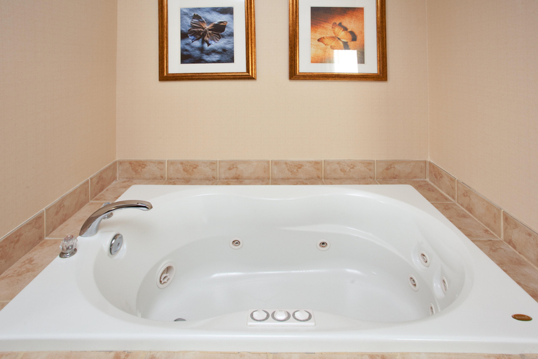Bathroom 4, Wingate by Wyndham Waynesboro, Waynesboro