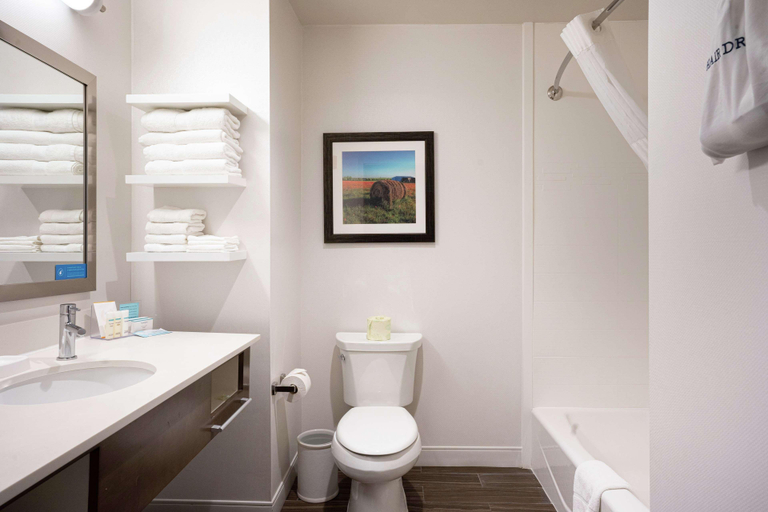 Bathroom 4, Hampton Inn & Suites Georgetown/Austin North, Williamson