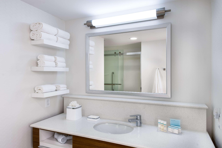 Bathroom 5, Hampton Inn & Suites Clearwater Beach, Pinellas
