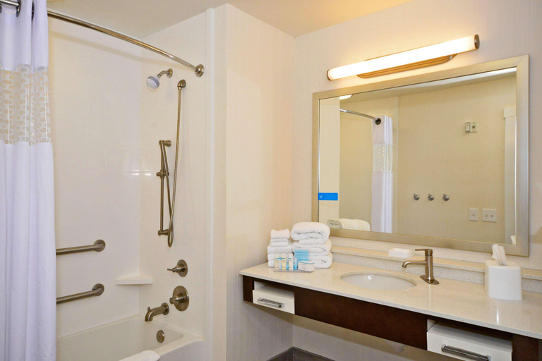 Bathroom 4, Hampton Inn Pulaski, Giles