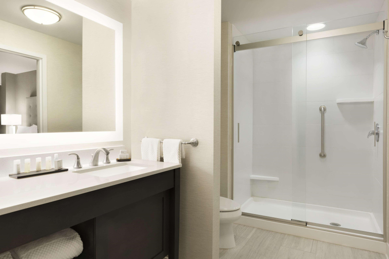 Bathroom 5, Embassy Suites by Hilton Greenville Downtown River, Greenville