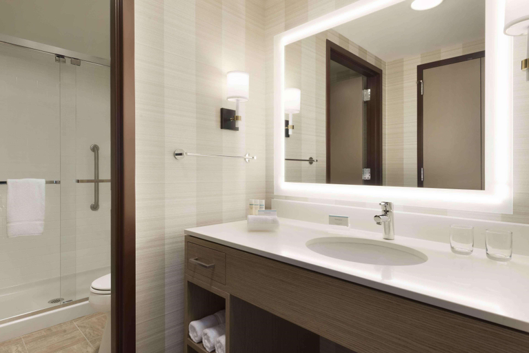 Bathroom 4, Homewood Suites Chicago Downtown West Loop, Cook
