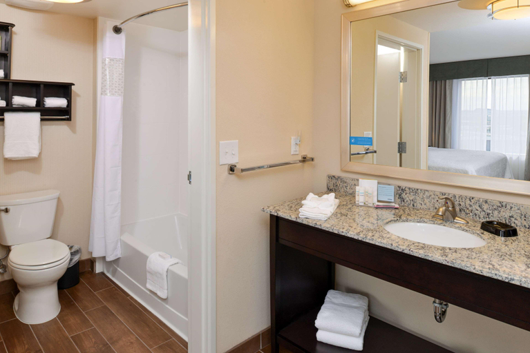 Bathroom 4, Hampton Inn & Suites Dougla, Converse
