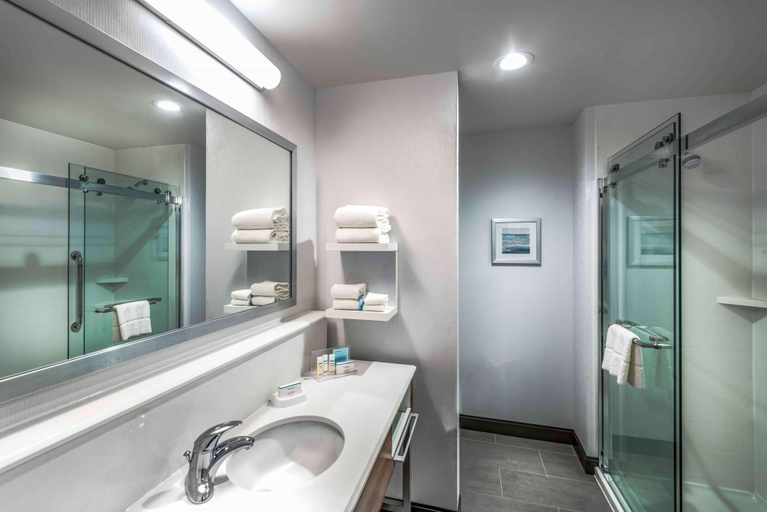 Bathroom 4, Hampton Inn & Suites Tallahassee CapitolUniversity, Leon