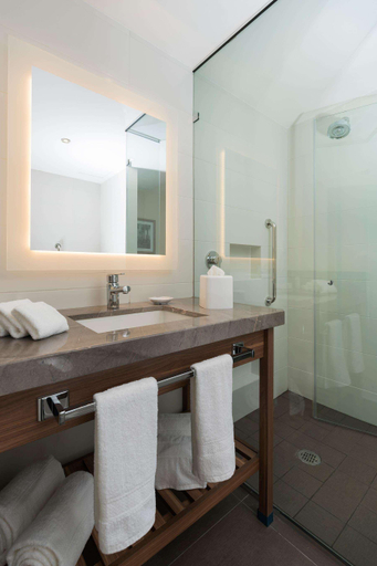 Bathroom 4, Hampton Inn By Hilton Leon Guanajuato, León