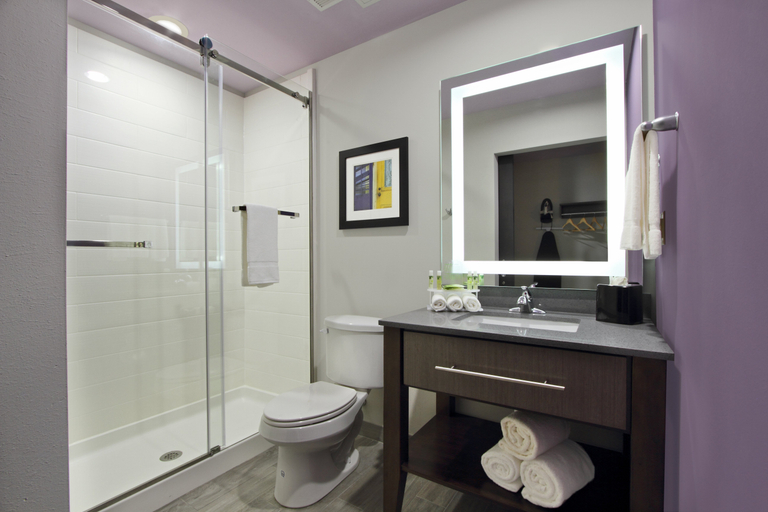Bathroom, Holiday Inn Express Baton Rouge Downtown, East Baton Rouge