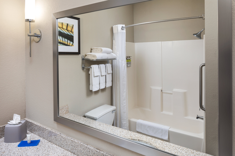 Bathroom 5, Holiday Inn Express & Suites EDEN PRAIRIE - MINNETONKA, Hennepin