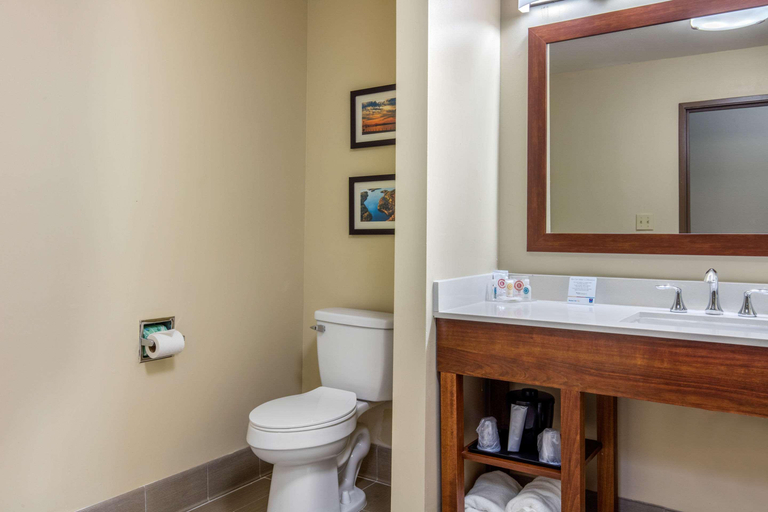 Bathroom 4, Comfort Inn & Suites Mccomb, Pike