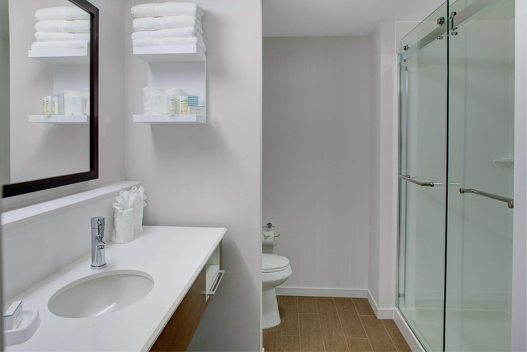 Bathroom 5, Hampton Inn & Suites Manchester, Bennington