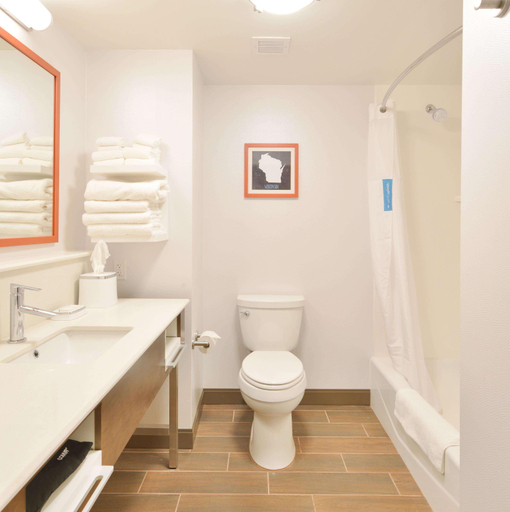 Bathroom 3, Hampton Inn & Suites Menomonie, Dunn