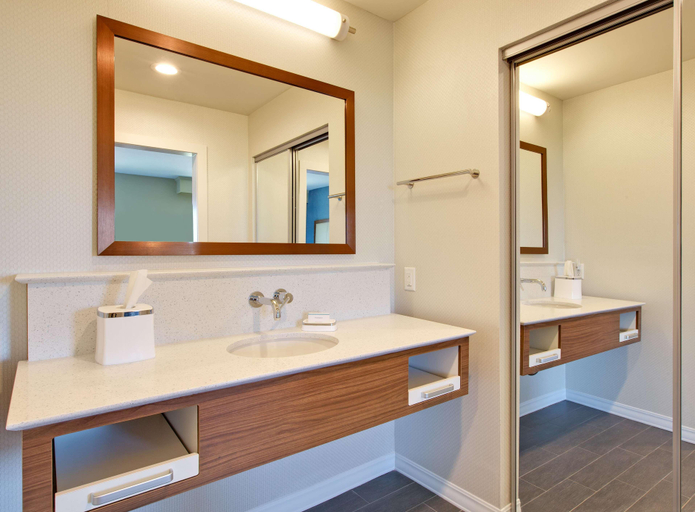 Bathroom 4, Hampton Inn and Suites Snyder, TX, Scurry