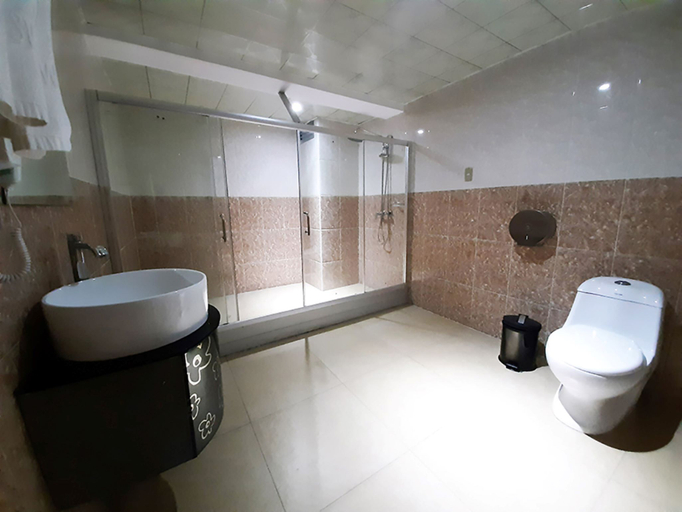 Bathroom 5, Swan Hotel, Lima