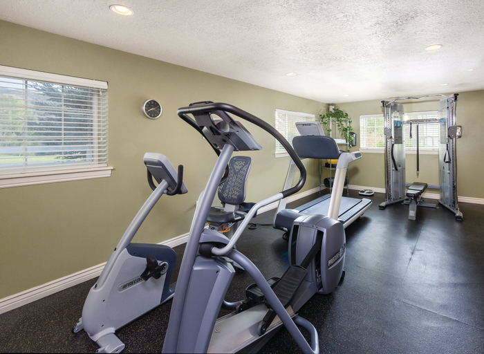 Sport & Beauty 3, WorldMark Midway, Wasatch
