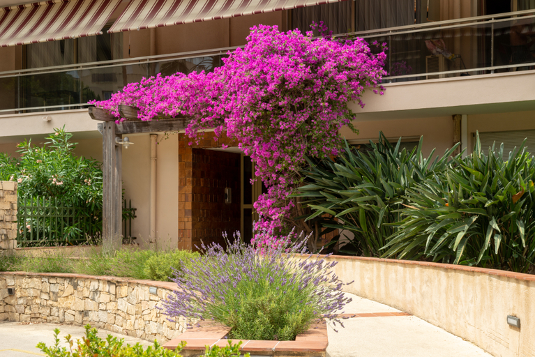 Public Area 4, Hotel The Originals Residence Les Strelitzias, Alpes-Maritimes