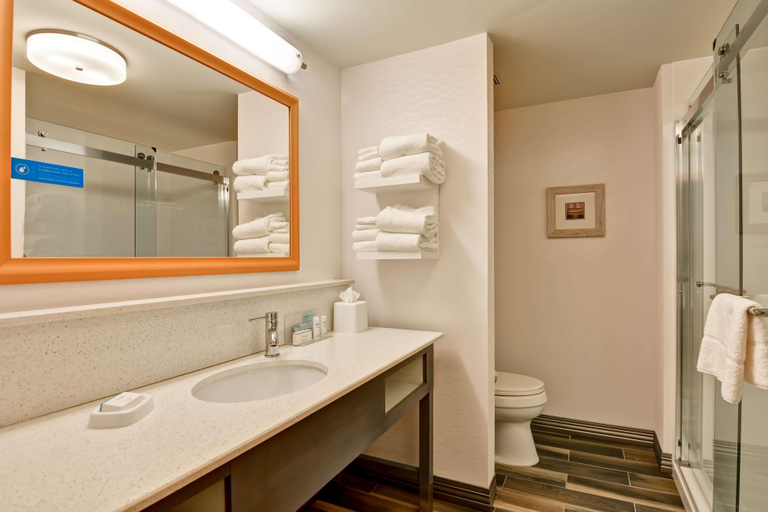 Bathroom 4, Hampton Inn By Hilton Atlanta Kennesaw, Cobb