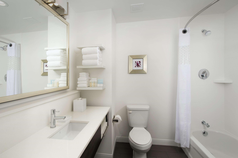 Bathroom 4, Hampton Inn Huntsville/Village of Providence, Madison