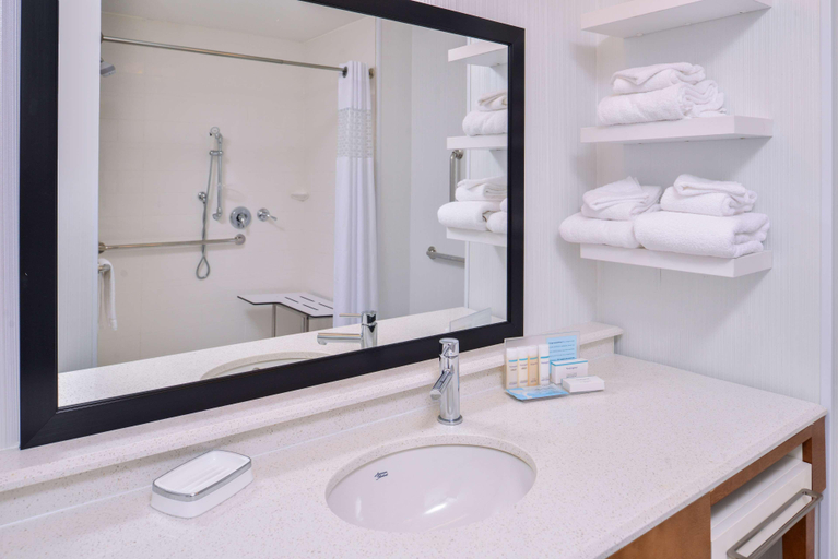 Bathroom 4, Hampton Inn & Suites Altoona Des Moines, Polk