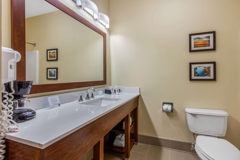 Bathroom 4, Comfort Inn & Suites Mccomb, Pike