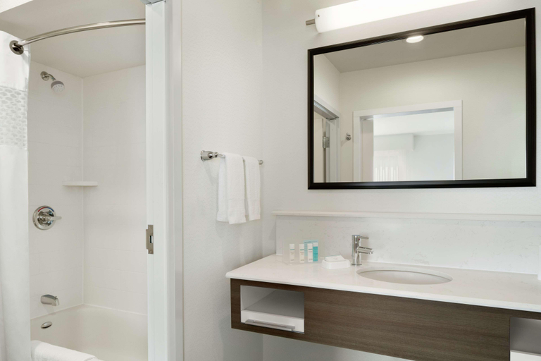 Bathroom 4, Hampton Inn & Suites St. Louis/Alton, Madison