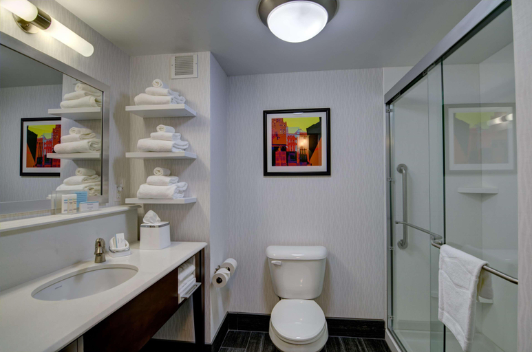 Bathroom 4, Hampton Inn Salem, Roanoke