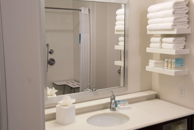 Bathroom 4, Hampton Inn & Suites Bay City, Bay