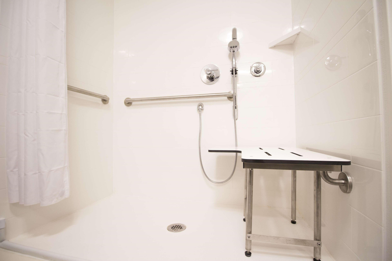 Bathroom 4, Hampton Inn Decatur Southeast, Macon