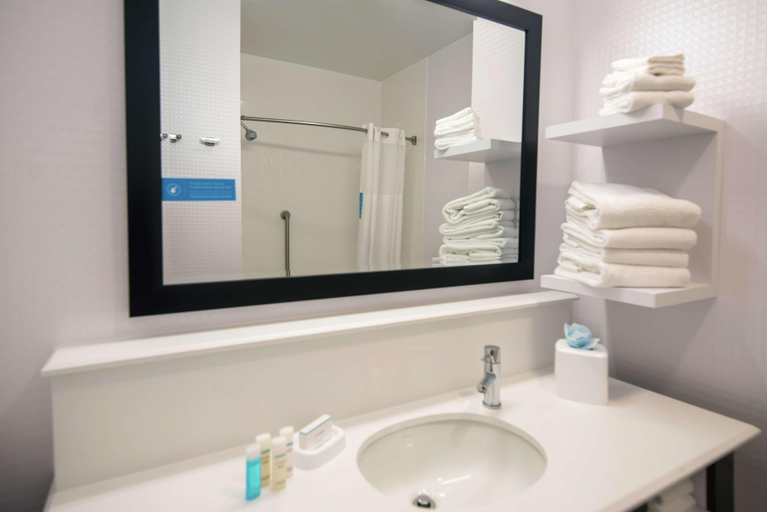 Bathroom 4, Hampton Inn & Suites Wisconsin Dells Lake Delton, Sauk