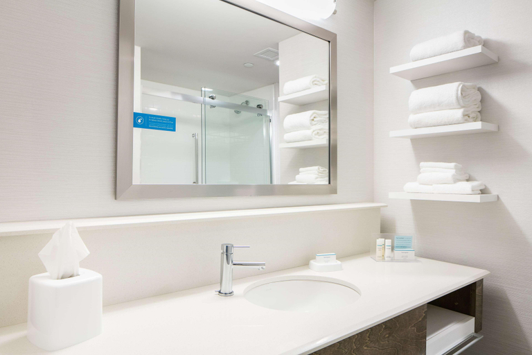 Bathroom 5, Hampton Inn & Suites Mason City, Cerro Gordo