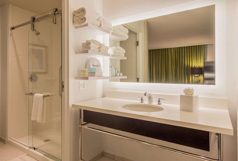 Bathroom 4, Hampton Inn & Suites Washington DC-Navy Yard, Washington D.C.