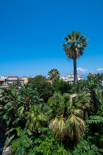 Exterior & Views 2, Don Giulio Luxury Rooms, Napoli