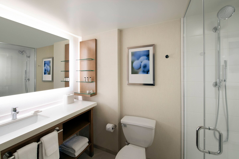 Bathroom 4, Delta Hotels Seattle Everett, Snohomish