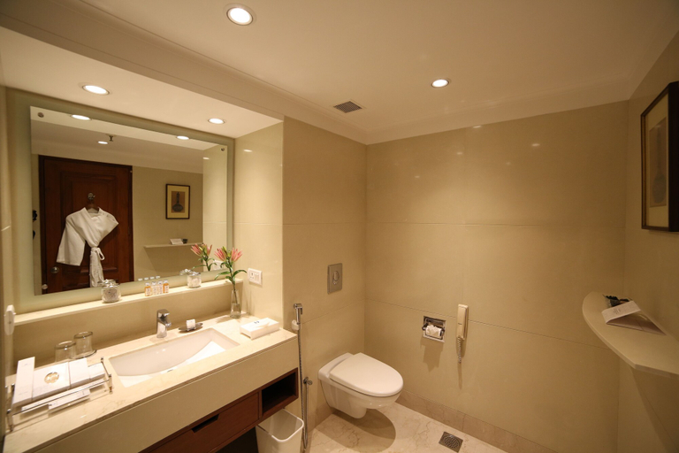 Bathroom 5, Jaypee Palace, Agra