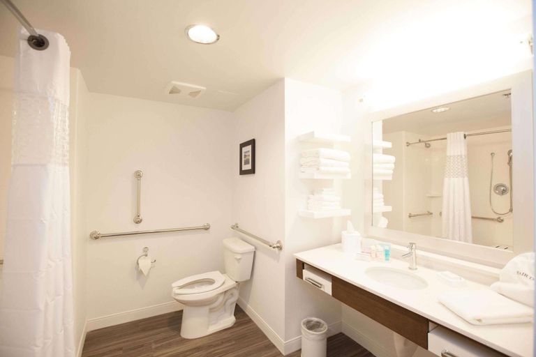 Bathroom 4, Hampton Inn Emerson LakePoint, Bartow