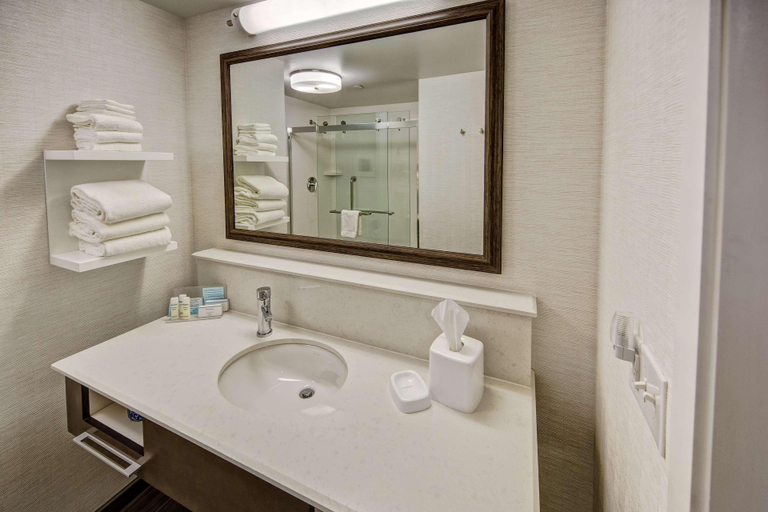 Bathroom 5, Hampton Inn & Suites Memphis Germantown, Shelby