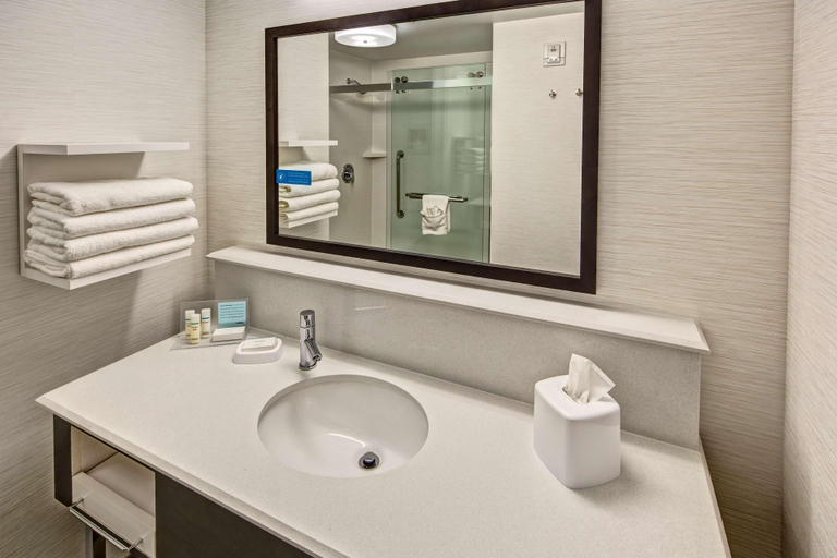 Bathroom 4, Hampton Inn & Suites Franklin Berry Farms, Williamson