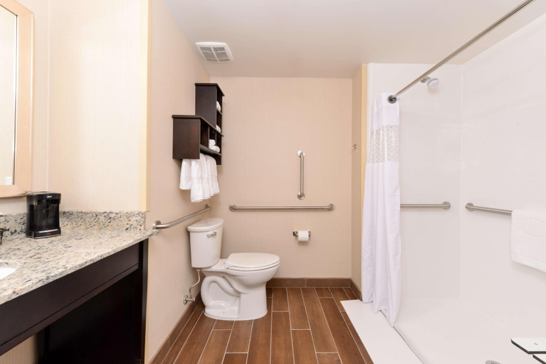 Bathroom 4, Hampton Inn & Suites Dougla, Converse