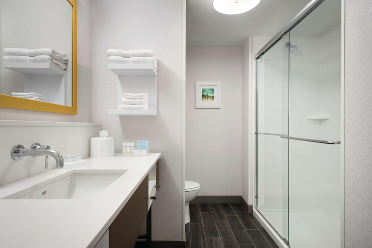 Bathroom 4, Hampton Inn By Hilton Champaign Southwest, Champaign