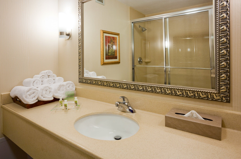 Bathroom 5, Radisson Hotel and Conference Center Fond du Lac, Fond du Lac