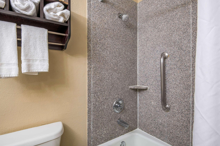 Bathroom 4, Quality Inn Sweetwater I-20, Nolan