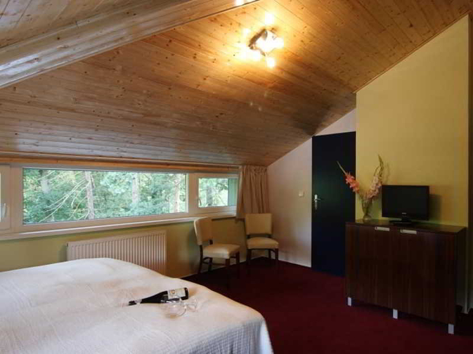 Bedroom 5, Hotel U Sulaka, Brno