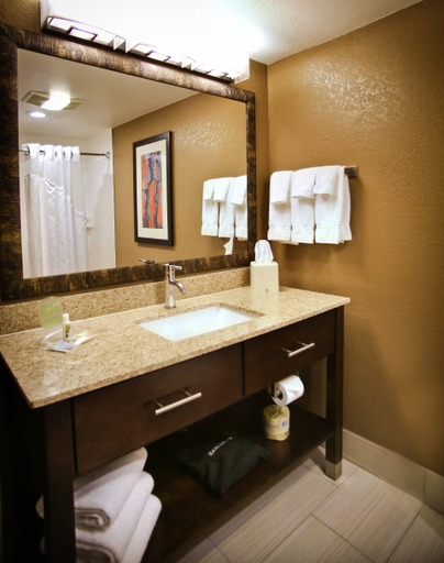 Bathroom 3, Pearl street hotel & Suites- Downtown, La Crosse