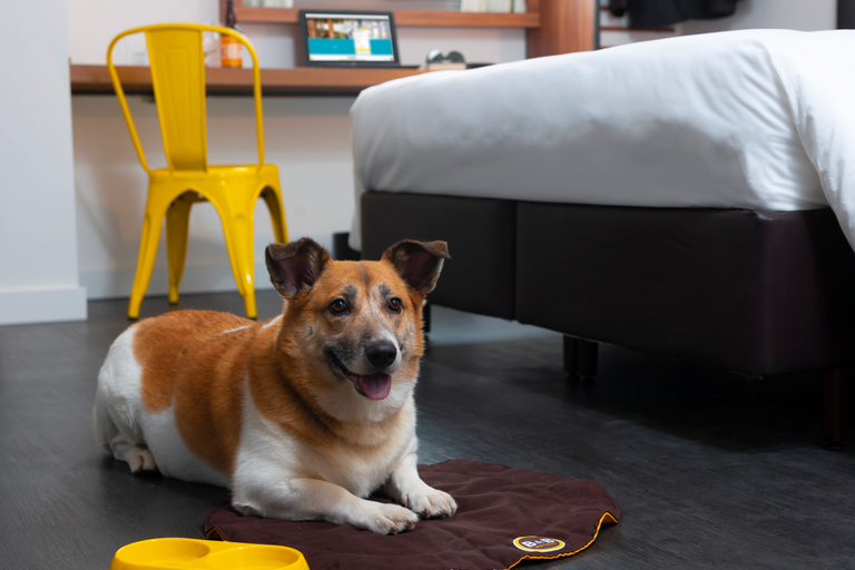 B&B Hotels São Paulo Luz - Centro, São Paulo