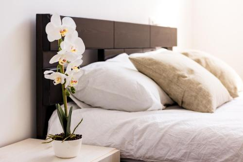 Mevaser - Christian Guest House,