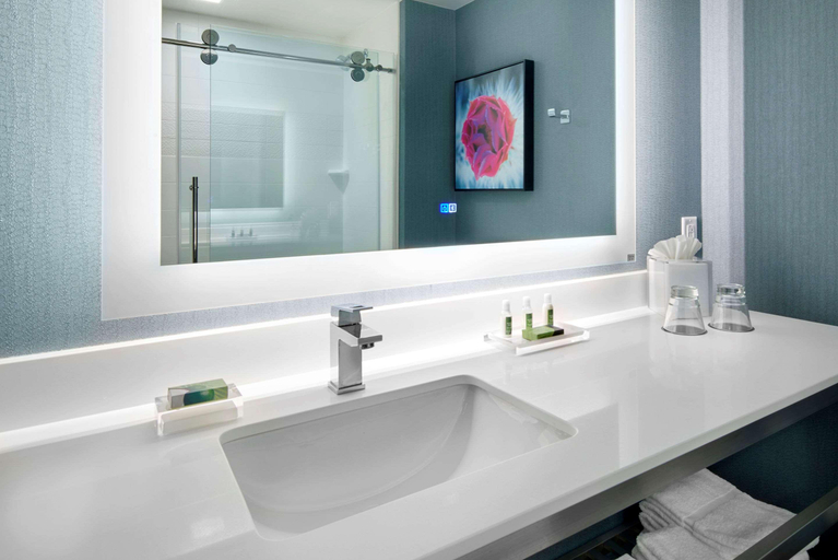 Bathroom 5, Cambria Hotel Detroit-Shelby Township, Oakland