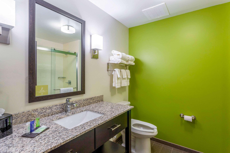 Bathroom 4, Sleep Inn Bowling Green North, Warren