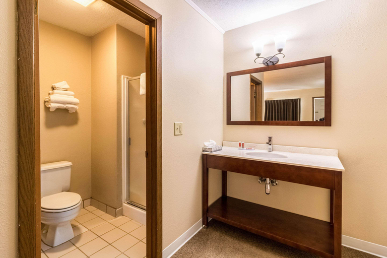 Bathroom 4, Econo Lodge, Stutsman